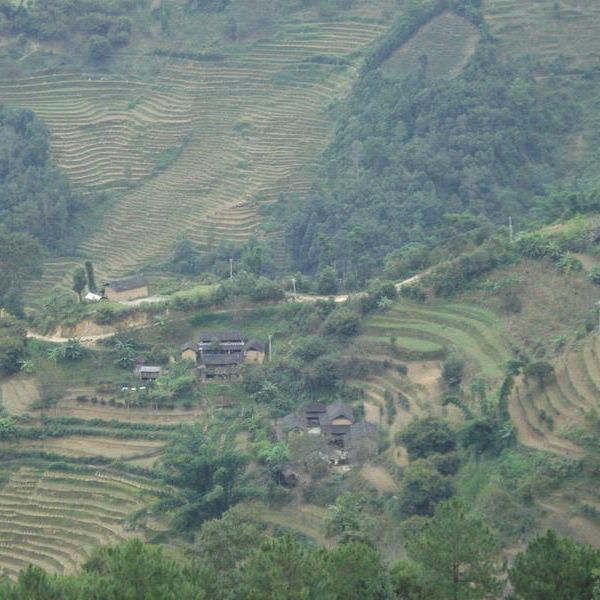 新村自然村(雲南省鳳慶縣三岔河鎮下轄村)