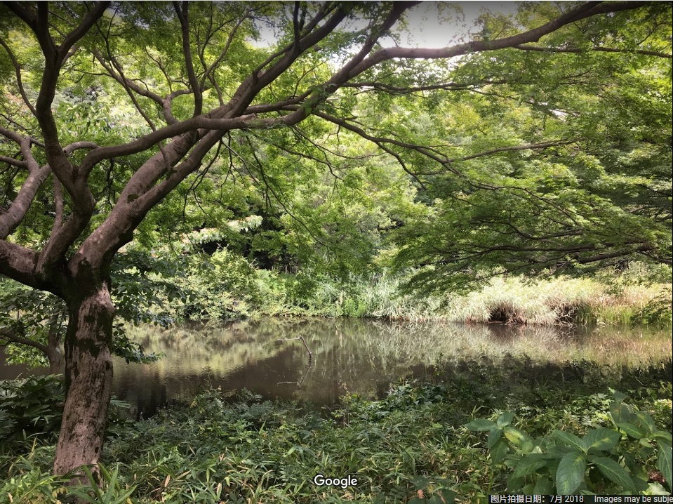 黑暗集會(近藤憲一創作的恐怖類漫畫)