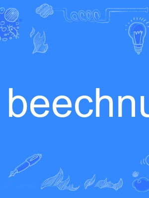 beechnut