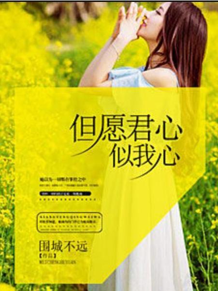 但願君心似我心(圍城不遠所著小說)