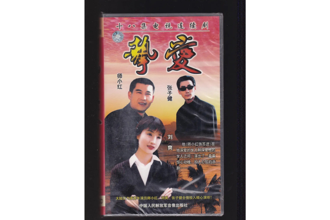 摯愛(1998年錢雁秋執導張子健主演的電視劇)