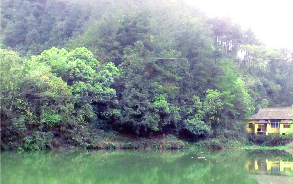 湄潭龍泉省級森林公園