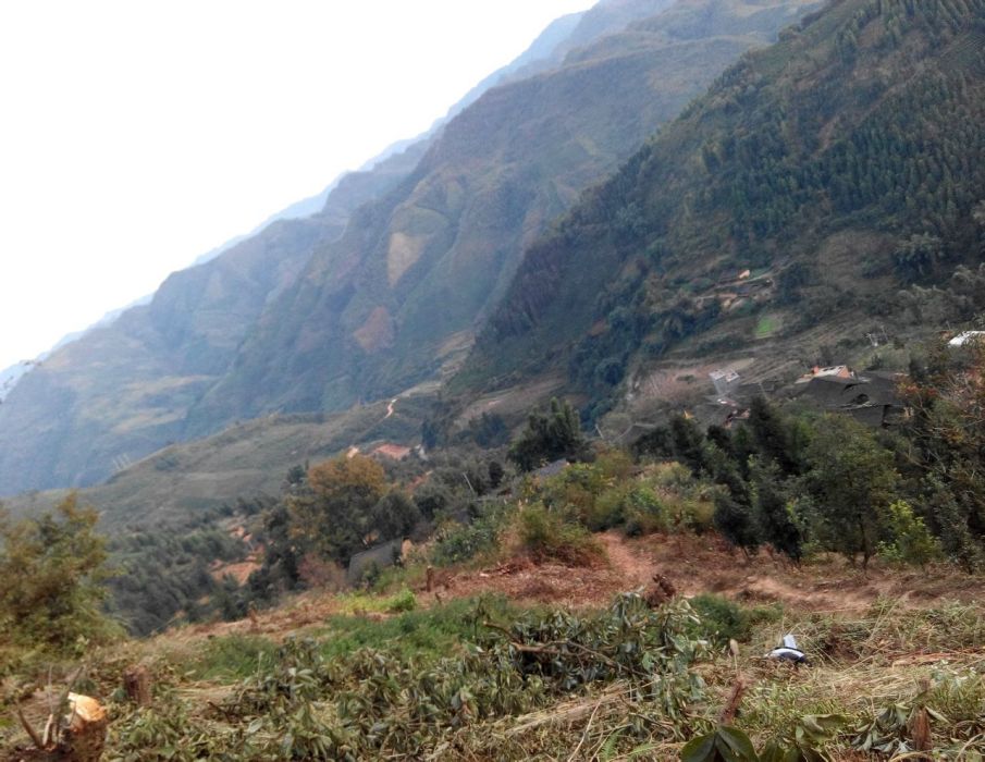 那學村(雲南省文山壯族苗族自治州廣南縣底圩鄉下轄村)