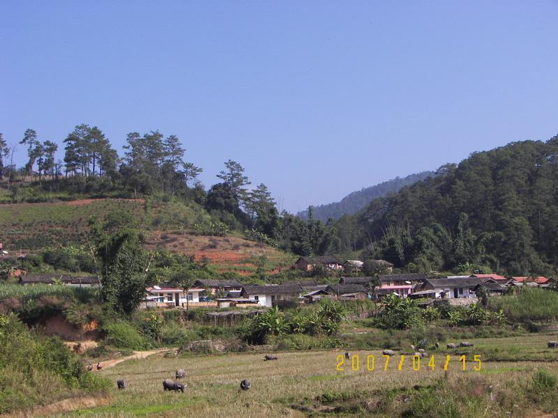 松山村(雲南省曲靖市羅平縣馬街鎮松山村)