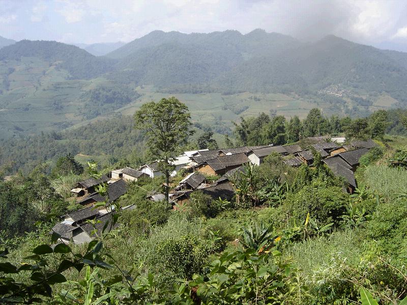 岩口自然村(高田鄉新華村民委員會下轄自然村)