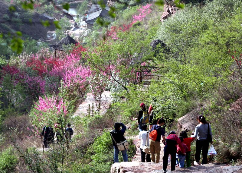 邢台九龍峽桃花谷