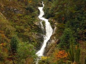 鳳凰湖生態濕地