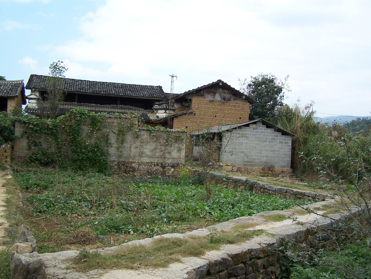 大水井自然村(雲南省鳳慶縣勐佑鎮下轄村)