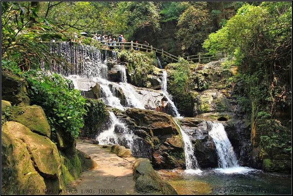 鼎湖山(肇慶鼎湖山)