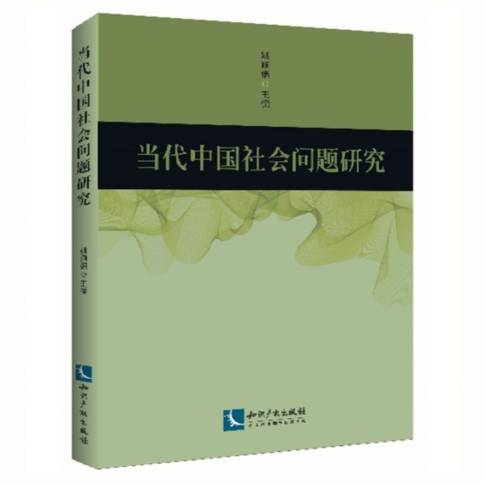 當代中國社會問題研究