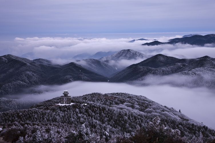 鳳陽山—百山祖國家級自然保護區