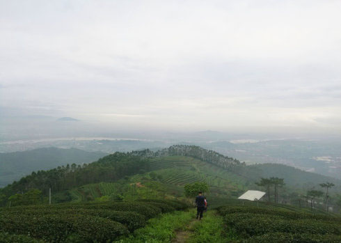 鼎寨山