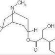 左旋山莨菪鹼