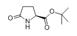 L-焦谷氨酸叔丁酯