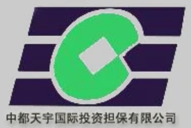 北京中都天宇國際投資擔保有限公司