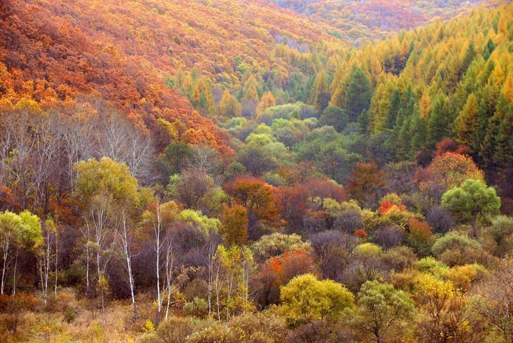 阿爾山市大興安嶺奧倫布坎旅遊景區