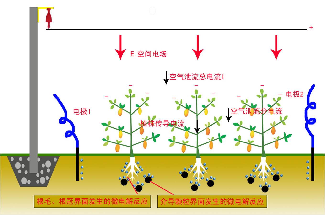 空間電場和土壤電消毒聯合控制植物病蟲害