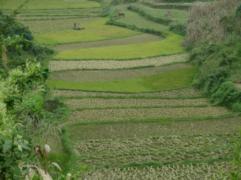 阿奈龍村