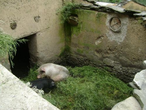 養殖業