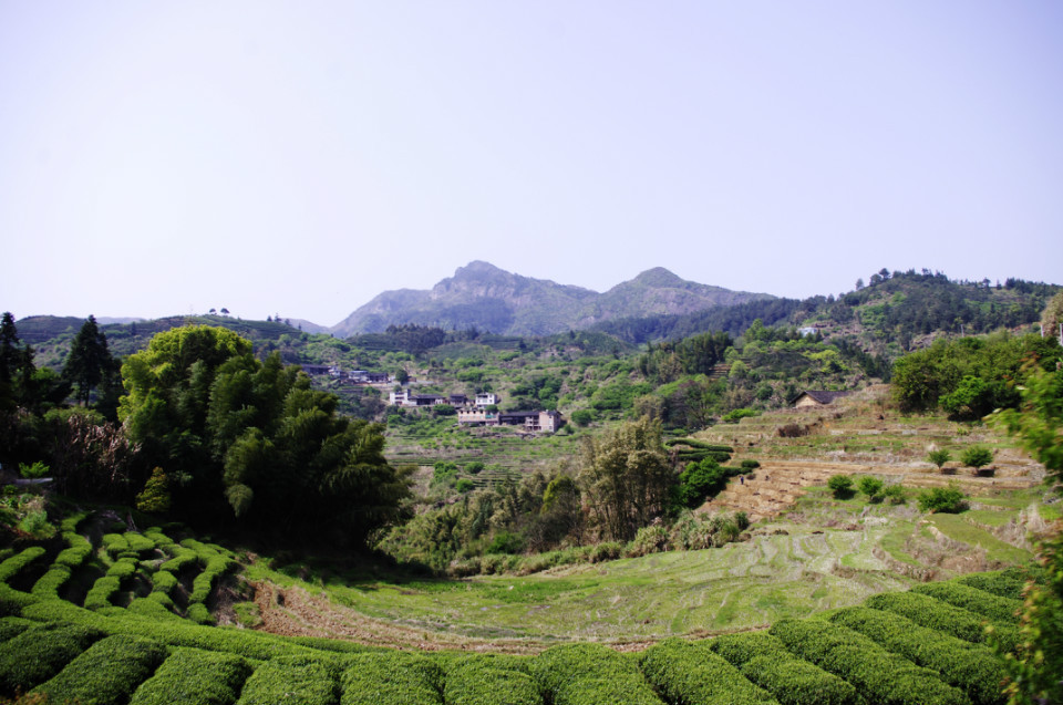 後坂村