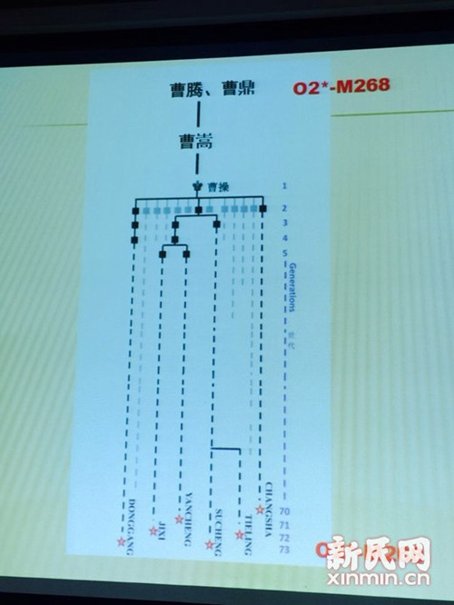 曹操家族DNA