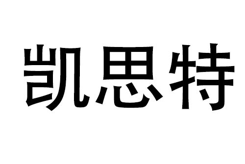 南京凱思特金屬製品有限公司