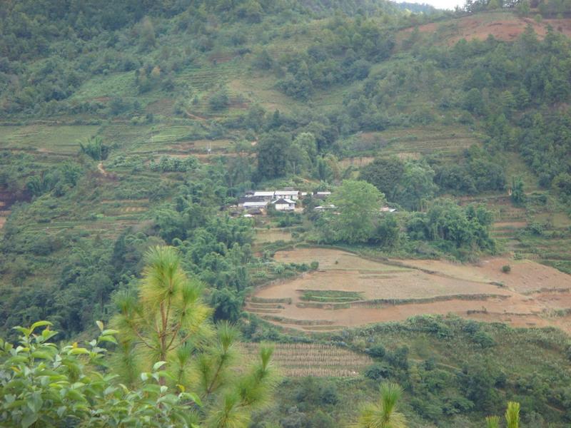 村莊全景