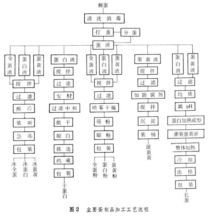 蛋和蛋製品