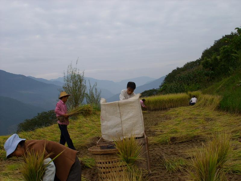 勞動場景