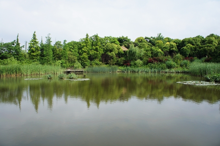 水師森林公園