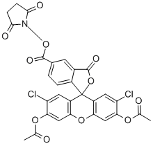 5(6)-羧基-2`,7`-二氯螢光素二乙酸酯N-琥珀醯亞胺酯