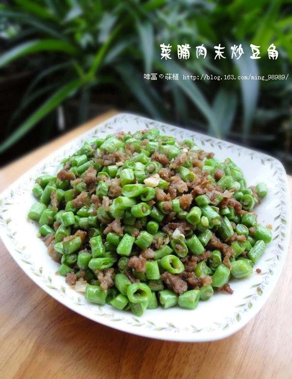 潮汕菜脯肉末炒豆角