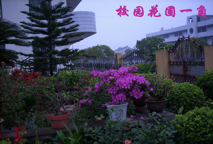 魅力校園