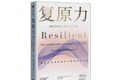 復原力：擁有任何挫折都打不倒的內在力量(復原力（2020年中信出版集團出版的圖書）)