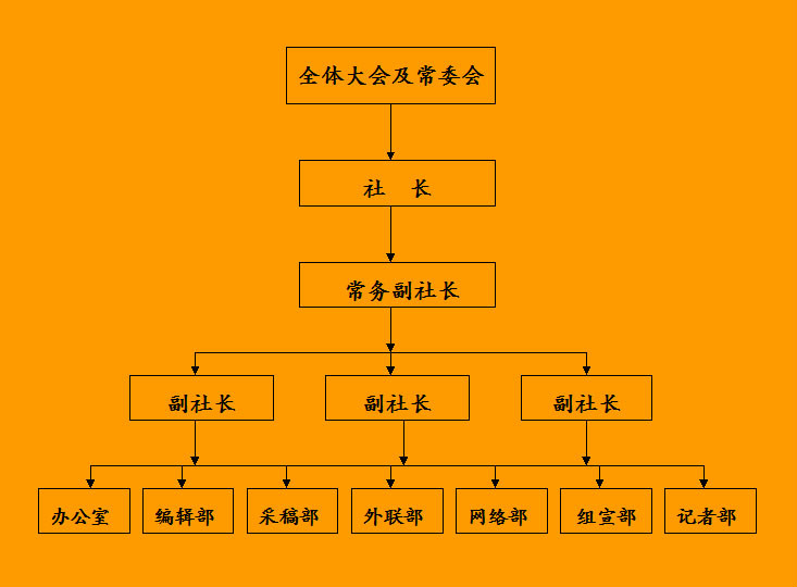 組織結構圖