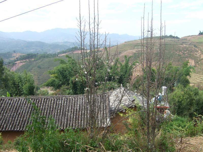 白墳自然村(雲南省鳳慶縣鳳山鎮下轄村)