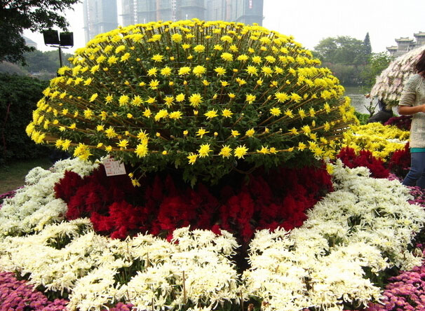 東流菊花節