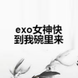 exo女神快到我碗裡來