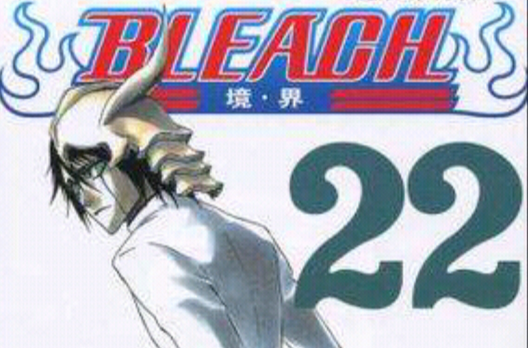 BLEACH 境·界22