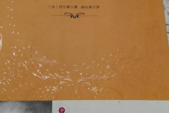 老實人(2009年中國書籍出版社出版的圖書)