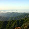 舜皇山國家級自然保護區(東安舜皇山國家森林公園)