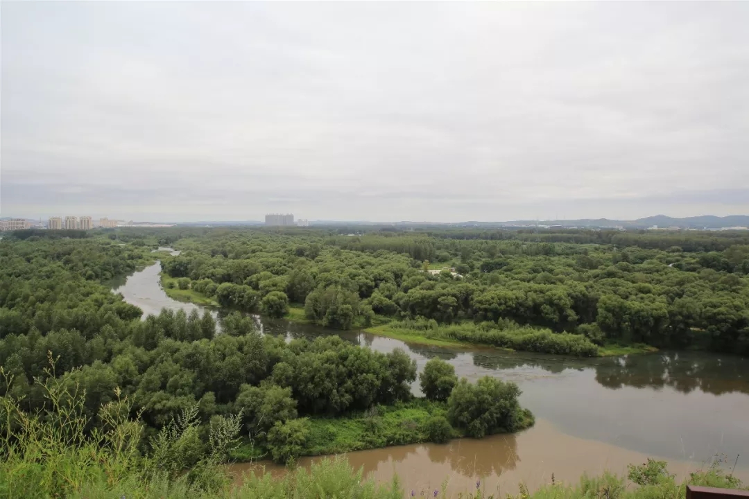 內蒙古烏蘭浩特洮兒河國家濕地公園(內蒙古烏蘭浩特市洮兒河國家濕地公園)