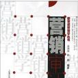 行銷審計(2005年上海交通大學出版社出版的圖書)