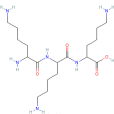 多聚-L-賴氨酸氫溴酸鹽