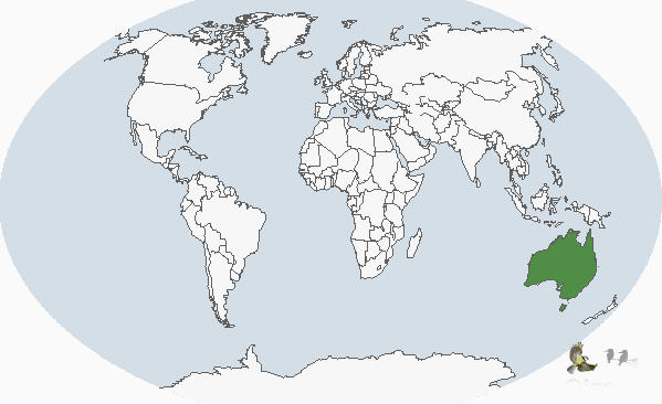 澳洲斑鴨分布圖