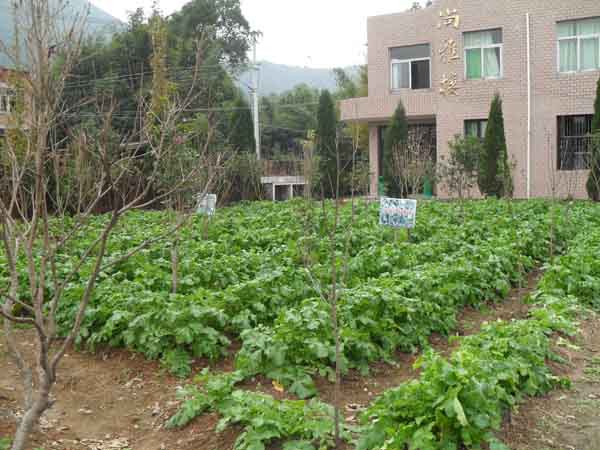 建峰中學勞動實踐基地