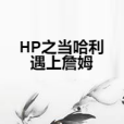 HP之當哈利遇上詹姆