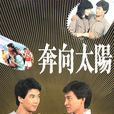 奔向太陽(1983年香港電視劇)