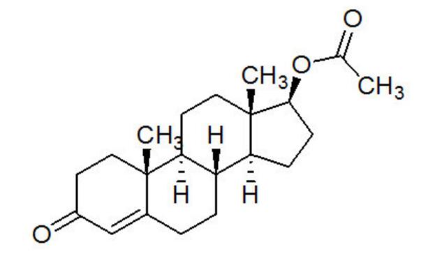 睪丸激素