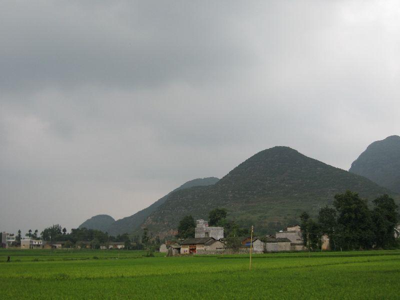 養馬村委會(雲南羅平縣羅雄鎮轄區)